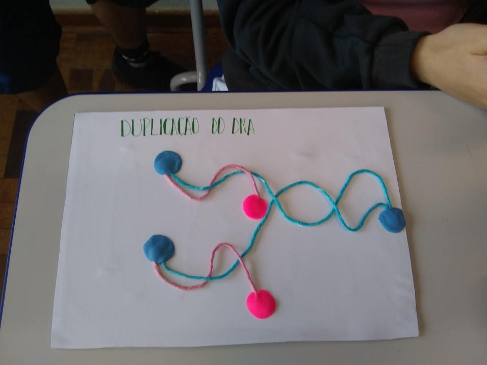 Turmas do Ensino Médio aprendem sobre a estrutura do DNA nas aulas de Biologia