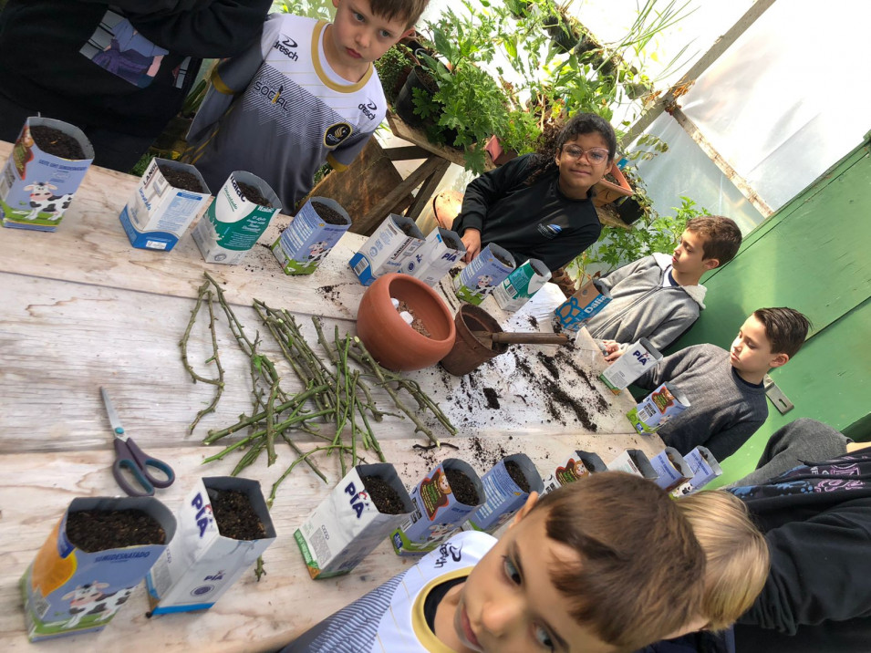 Crianças do Turno Integral desenvolvem projeto da Horta ao Prato e produzem mudas de ora-pro-nobis