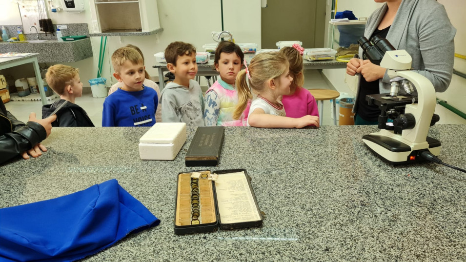 Crianças do Gruppe 5 realizam pesquisa sobre a joaninha e ampliam vocabulário de palavras em Língua Alemã
