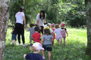 Crianças exploram o pátio do Instituto Ivoti durante desenvolvimento do Projeto “O nível 1 na incrível jornada pelas cores da natureza”