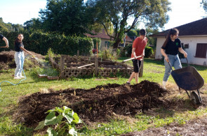 Estudantes do Técnico em Agropecuária realizam colheita de cereais de inverno e plantio de morangas