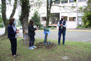 Dia da Árvore marca início da identificação do bioma do Instituto Ivoti
