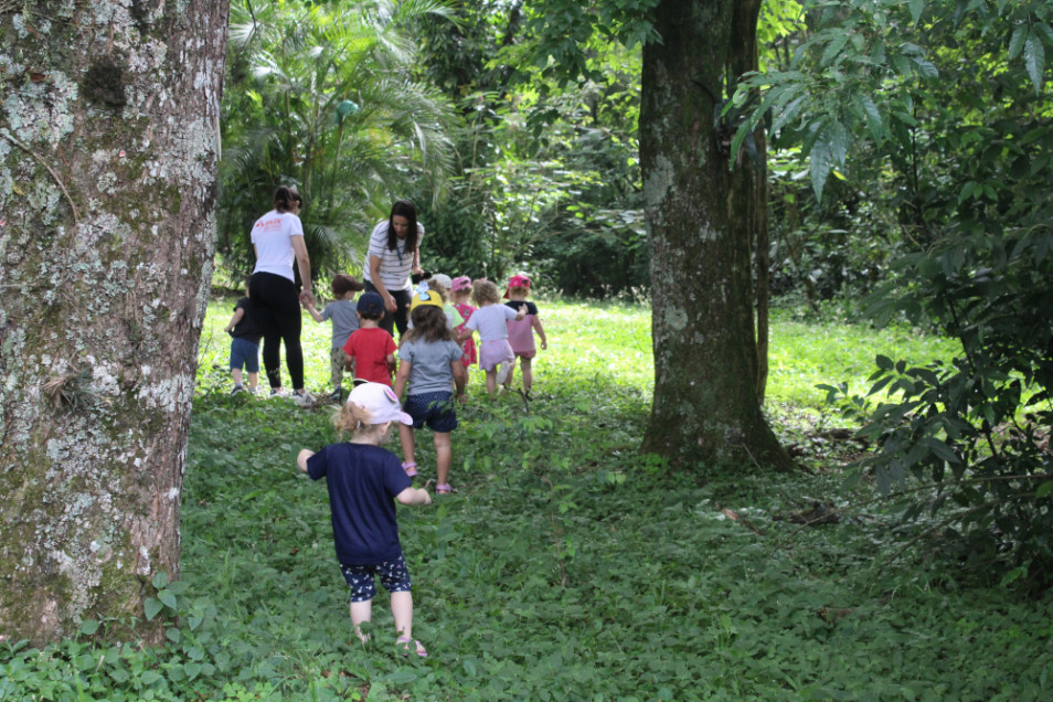 Crianças exploram o pátio do Instituto Ivoti durante desenvolvimento do Projeto “O nível 1 na incrível jornada pelas cores da natureza”