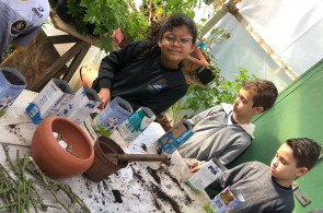 Crianças do Turno Integral desenvolvem projeto da Horta ao Prato e produzem mudas de ora-pro-nobis